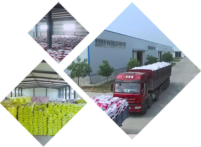 ��Ʒ�������ʻ���ҵ����Ʒ�ƻ�